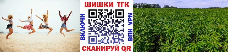 закладки  Горняк  Каннабис планчик 